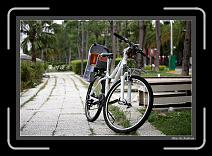 IMG_3523-P * 892 x 617 * (247KB)