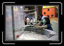 IMG_3739-P * 892 x 608 * (217KB)