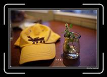 IMG_4132-P * 892 x 608 * (239KB)