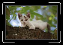 IMG_4545-P * 892 x 608 * (246KB)