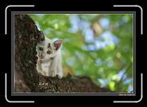 IMG_4551-P * 892 x 608 * (227KB)