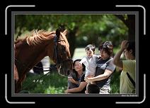 IMG_4615-P * 892 x 608 * (232KB)