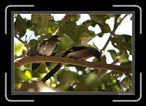 IMG_4625-P * 892 x 608 * (232KB)