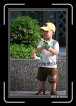 IMG_5280-P * 608 x 908 * (248KB)