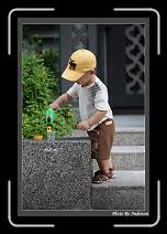 IMG_5412-P * 608 x 908 * (250KB)