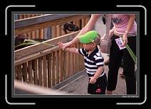 IMG_7667 * 892 x 608 * (244KB)