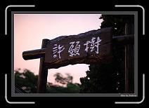 IMG_7730 * 892 x 608 * (232KB)