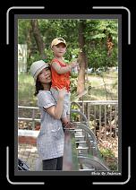 IMG_9666 * 608 x 908 * (234KB)