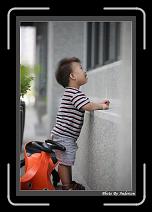 IMG_0741 * 608 x 908 * (232KB)