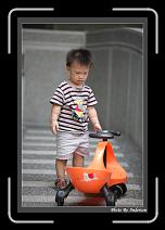 IMG_0769 * 608 x 908 * (248KB)