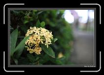 IMG_0905 * 892 x 608 * (232KB)