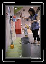IMG_0995 * 608 x 908 * (223KB)