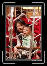 IMG_1793 * 608 x 908 * (230KB)