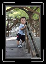IMG_1857 * 608 x 908 * (233KB)