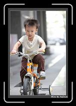 IMG_2229 * 608 x 908 * (227KB)