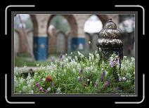 IMG_2521 * 892 x 608 * (243KB)