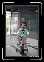 IMG_2782 * 608 x 908 * (233KB)