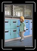 IMG_2931 * 608 x 908 * (236KB)