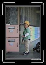 IMG_2940 * 608 x 908 * (239KB)