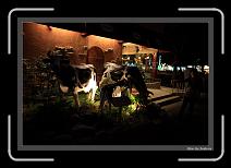 IMG_3002 * 892 x 608 * (231KB)