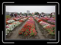 IMG_3325 * 892 x 608 * (247KB)
