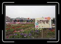 IMG_3329 * 892 x 608 * (241KB)