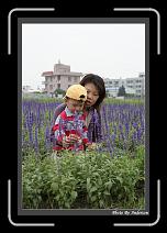 IMG_3336 * 608 x 908 * (235KB)
