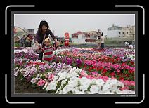 IMG_3354 * 892 x 608 * (241KB)