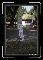 IMG_3430 * 608 x 908 * (242KB)
