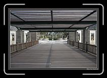 IMG_3492 * 892 x 608 * (239KB)