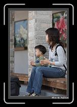 IMG_3504 * 608 x 908 * (237KB)