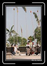 IMG_3528 * 608 x 908 * (239KB)
