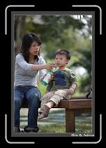 IMG_3693 * 608 x 908 * (221KB)