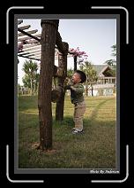 IMG_3754 * 608 x 908 * (241KB)