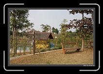 IMG_3799 * 892 x 608 * (247KB)