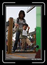 IMG_3817 * 608 x 908 * (220KB)