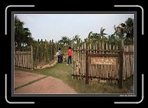 IMG_3823 * 892 x 608 * (249KB)