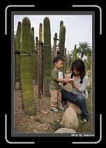 IMG_3827 * 608 x 908 * (247KB)