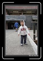 IMG_5174 * 608 x 908 * (239KB)