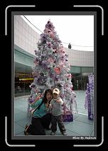 IMG_5496 * 608 x 908 * (238KB)