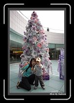 IMG_5497 * 608 x 908 * (232KB)