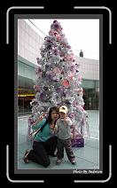 IMG_5498 * 509 x 908 * (222KB)