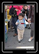 IMG_6056 * 608 x 908 * (239KB)