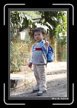 IMG_6071 * 608 x 908 * (235KB)