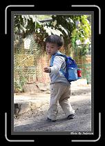 IMG_6081 * 608 x 908 * (240KB)