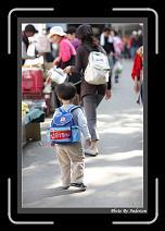 IMG_6109 * 608 x 908 * (249KB)