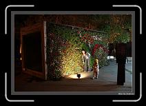 IMG_6155 * 892 x 608 * (244KB)