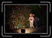 IMG_6158 * 892 x 608 * (245KB)