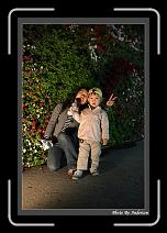 IMG_6160 * 608 x 908 * (241KB)