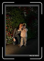 IMG_6161 * 608 x 908 * (239KB)